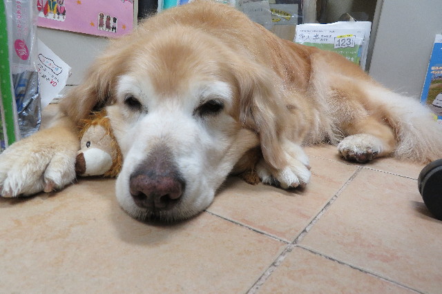 ファイル 6244-3.jpg