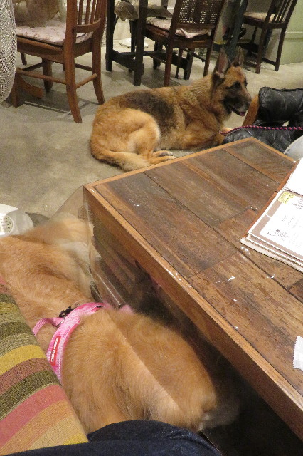 ファイル 6244-5.jpg