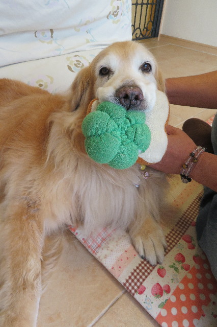 ファイル 6245-4.jpg