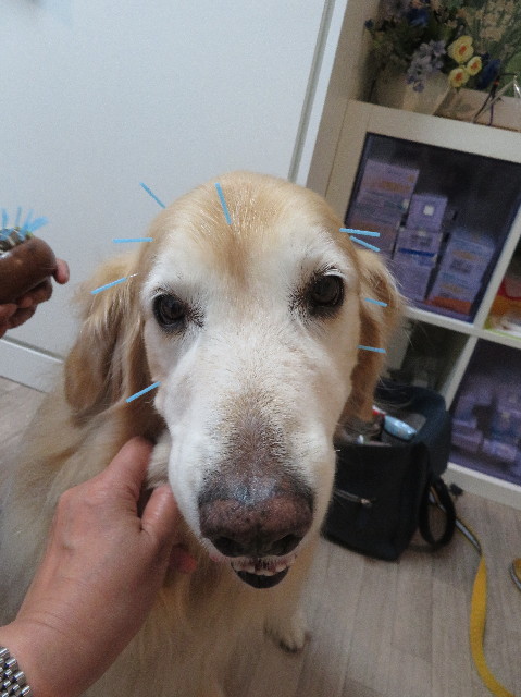 ファイル 6249-3.jpg