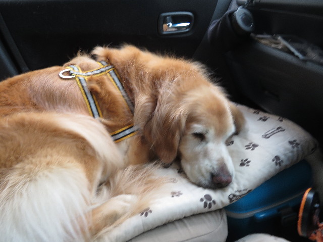 ファイル 6249-4.jpg