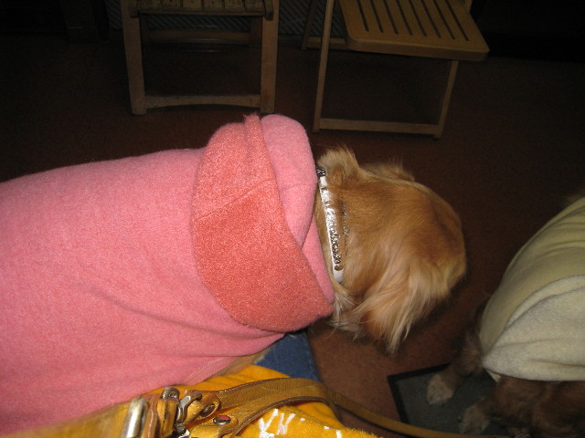 ファイル 625-1.jpg