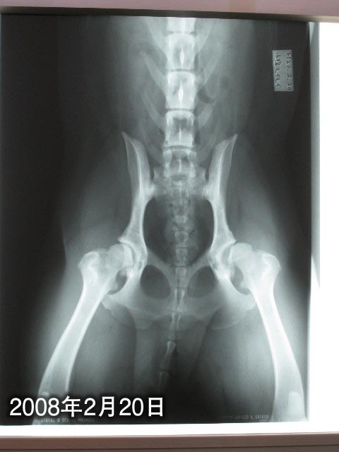 ファイル 625-3.jpg