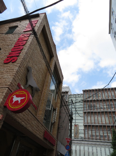 ファイル 6252-4.jpg