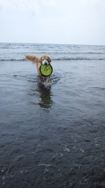 ファイル 6253-4.jpg