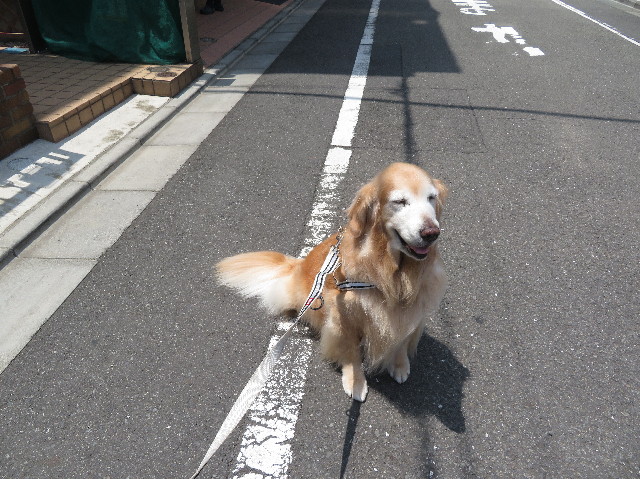 ファイル 6254-3.jpg