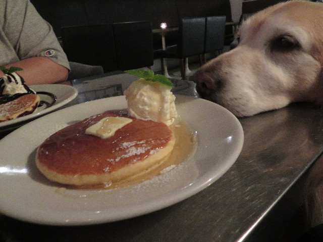 ファイル 6255-2.jpg