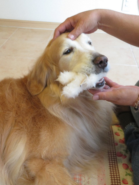 ファイル 6256-4.jpg