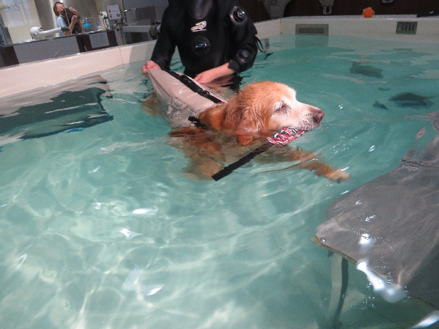 ファイル 6257-4.jpg