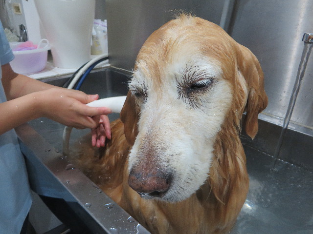 ファイル 6257-5.jpg