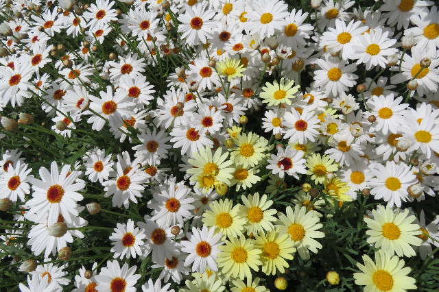 ファイル 6258-4.jpg