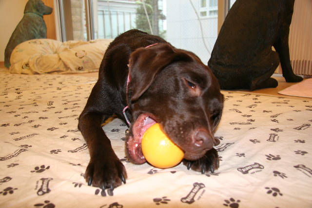 ファイル 626-5.jpg