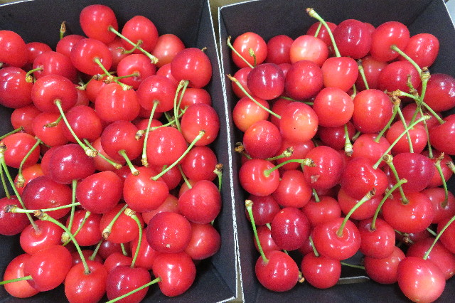 ファイル 6263-5.jpg