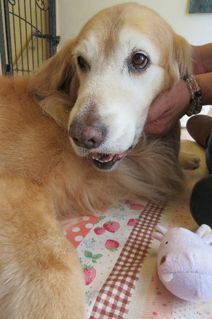 ファイル 6265-5.jpg