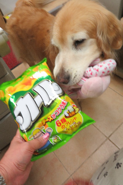 ファイル 6266-1.jpg