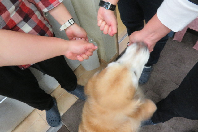 ファイル 6267-5.jpg