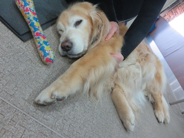 ファイル 6268-1.jpg