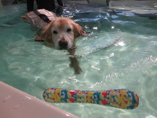 ファイル 6268-2.jpg