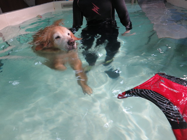 ファイル 6268-3.jpg