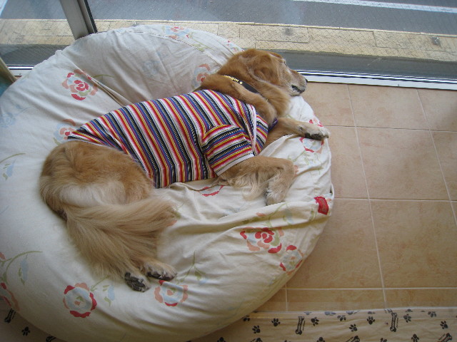 ファイル 627-3.jpg