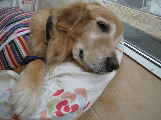 ファイル 627-4.jpg