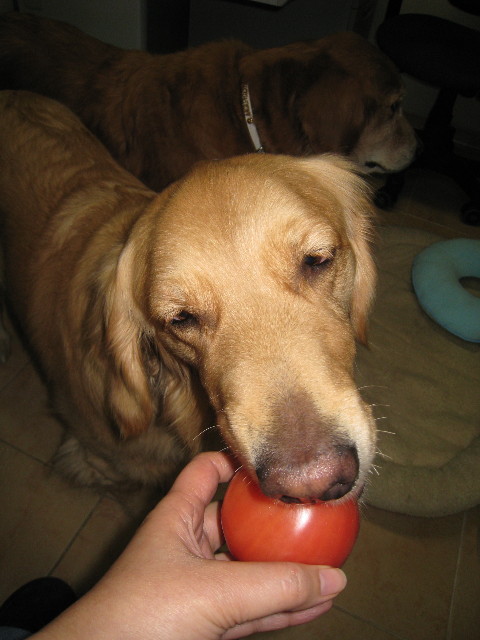 ファイル 627-5.jpg