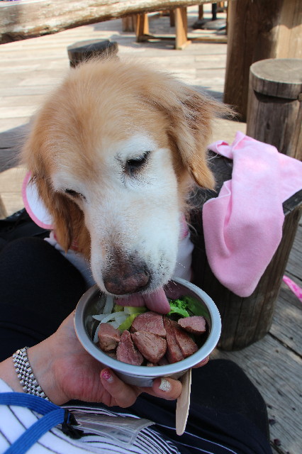 ファイル 6271-3.jpg