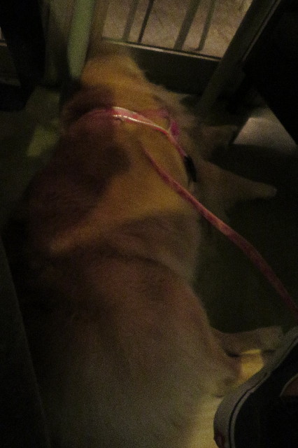 ファイル 6273-2.jpg