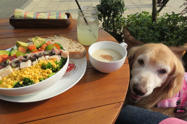 ファイル 6273-4.jpg