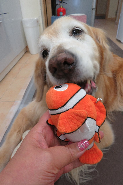 ファイル 6275-4.jpg