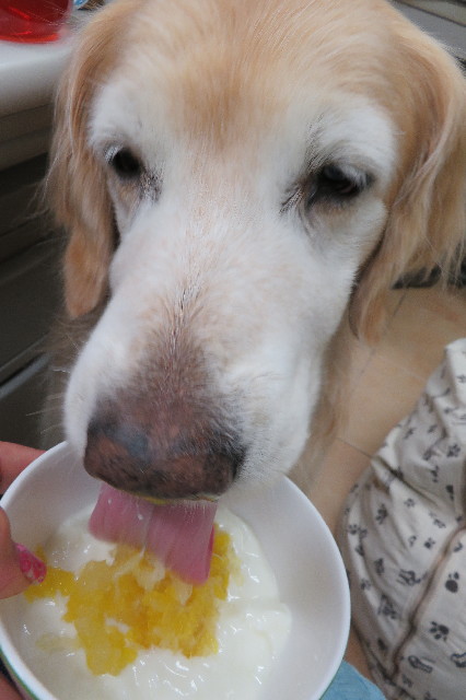 ファイル 6277-4.jpg