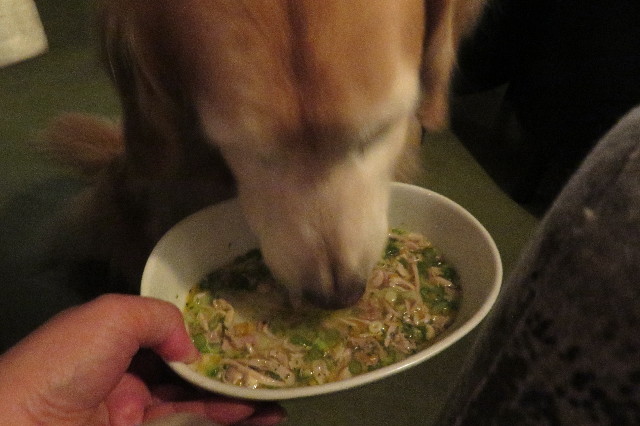 ファイル 6279-4.jpg