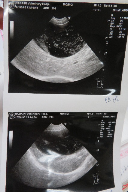 ファイル 6280-4.jpg