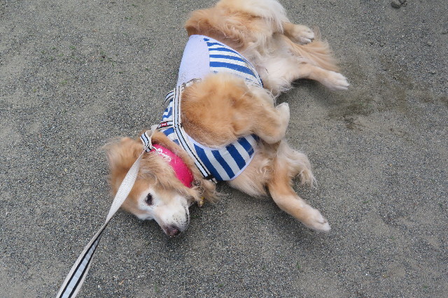 ファイル 6280-5.jpg