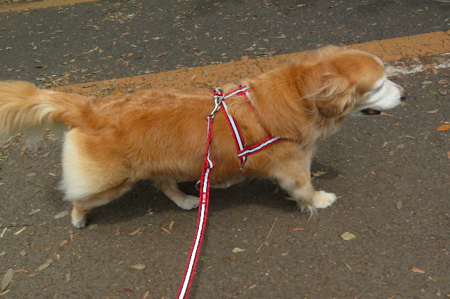 ファイル 6282-2.jpg