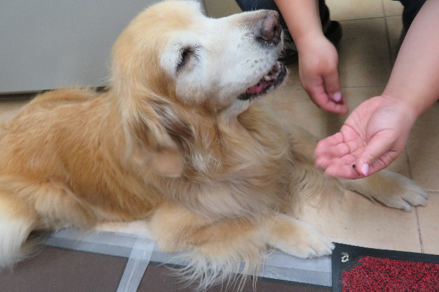 ファイル 6282-3.jpg