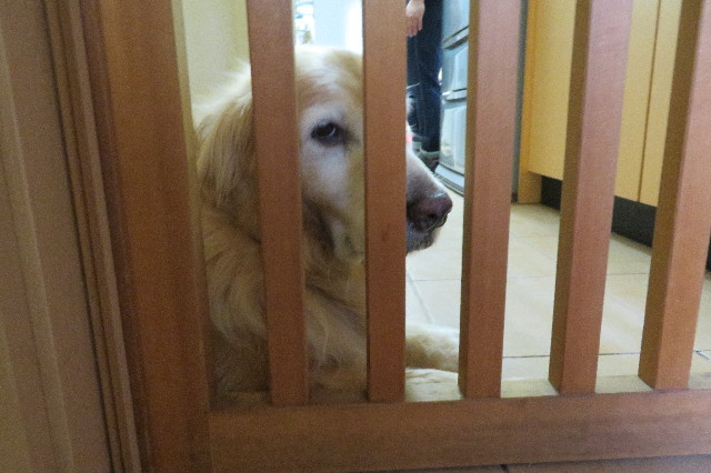 ファイル 6282-4.jpg