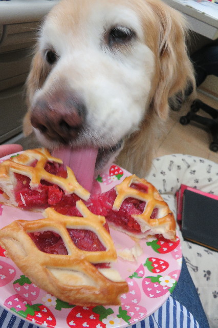 ファイル 6282-5.jpg