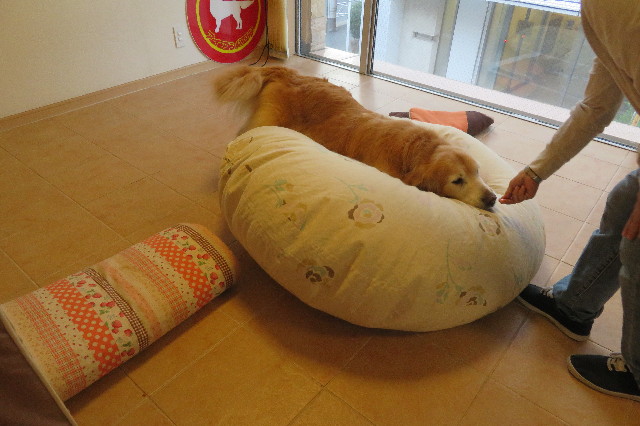 ファイル 6283-5.jpg