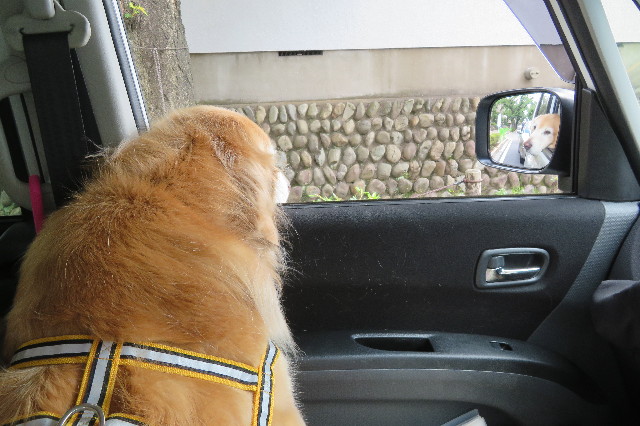 ファイル 6285-4.jpg