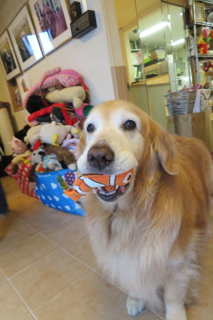 ファイル 6285-5.jpg