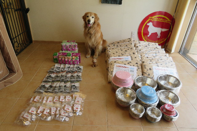 ファイル 6286-1.jpg