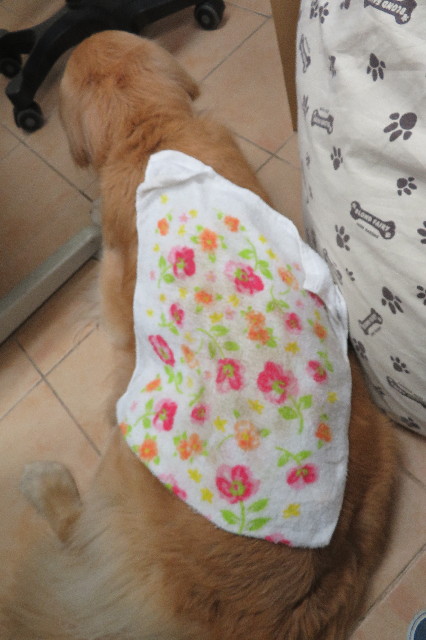 ファイル 6287-3.jpg