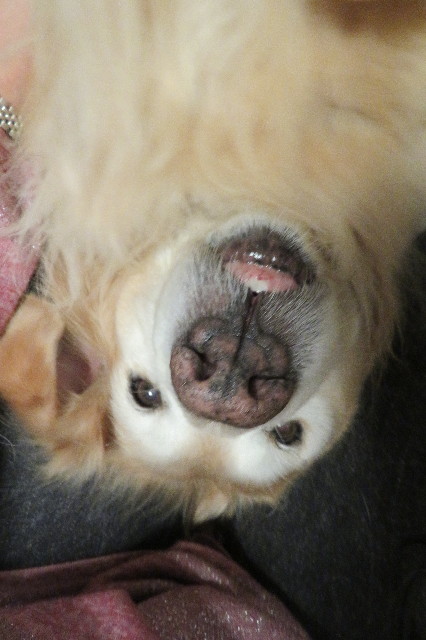 ファイル 6287-5.jpg