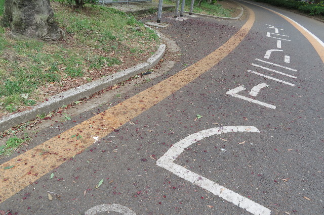 ファイル 6289-2.jpg