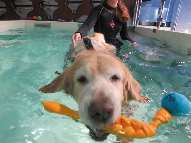 ファイル 6289-3.jpg