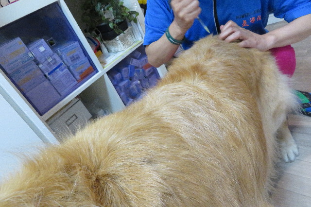 ファイル 6290-3.jpg