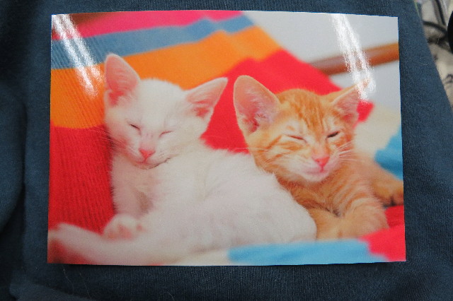 ファイル 6291-2.jpg