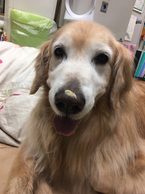 ファイル 6291-5.jpg