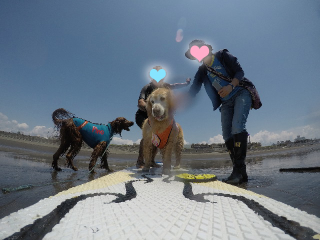 ファイル 6293-1.jpg